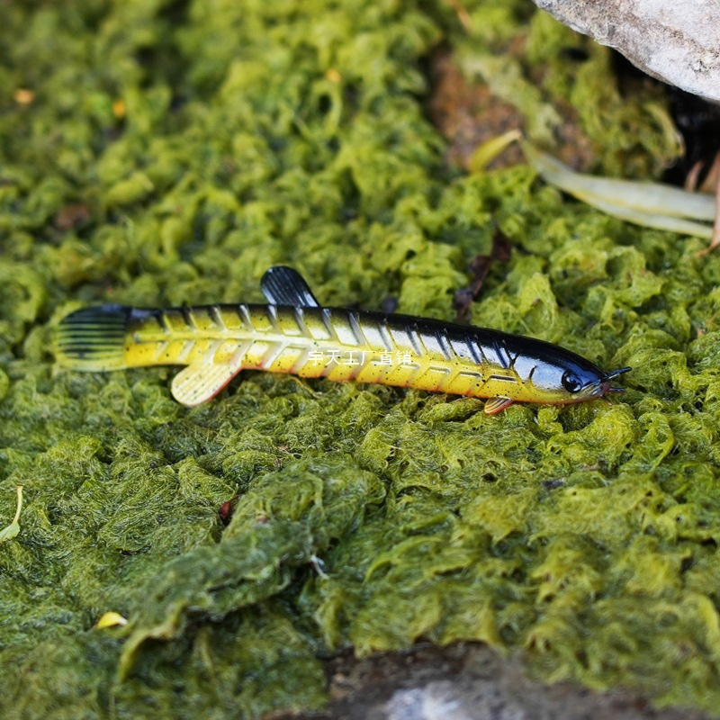 Lifelike Mud Loach Soft Bait Realistic Bionic Loach Lure for Bass & Freshwater Fishing